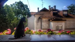 Guesthouse Sermageova