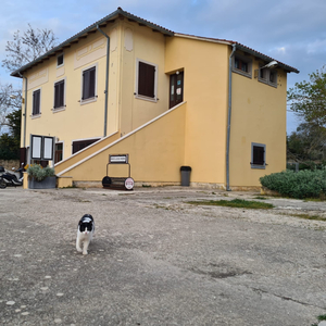 HI Hostel Pula