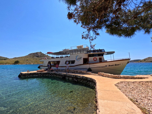 Maslina Tours