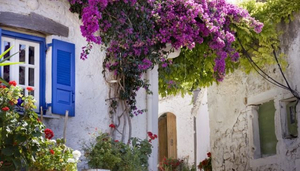 Makarska Property Management