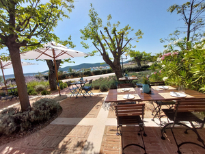 Mediterraneo Tapas Restaurant