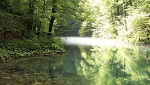 National Park Risnjak