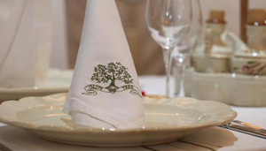 Olive Tree