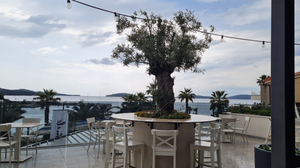 Pomalo Bistro & Bar