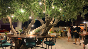 Restaurant & Bar Oliveo