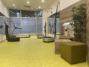 Smart Vibe - Power Plate & Spa