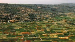 Starigrad Plain on the Island of Hvar