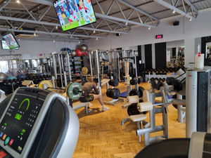Virtus Wellness