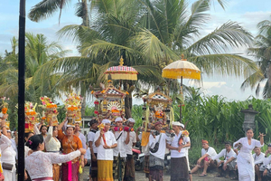 Bali: Balinese Culture Tour with Lunch and Activities