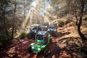 Benidorm: Buggy Jungle or Algar Waterfalls Tour