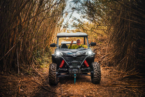 Benidorm: Buggy tour to the riverbed or Algar waterfalls