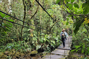 Cocora: trek to the hummingbirds sanctuary