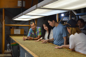 Coffee Experience: Processing, Tasting, and Visit to Alquimia Café