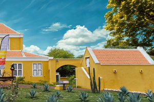 Curacao: Mongui Maduro Museum Tour and Taste