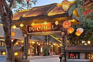 From Hanoi: Hoa Lu, Tam Coc, and Mua Cave Day Trip