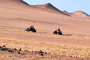 From Lima: Paracas and Hiuacachina Oasis Full-Day Adventure