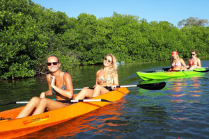 Half Day Adventure: Kayak Mangrove & Explore Thien Long Cave