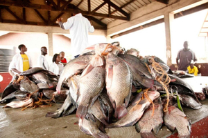 Half-Day GGaba Landing Site Tour: Lake Victoria Vibes