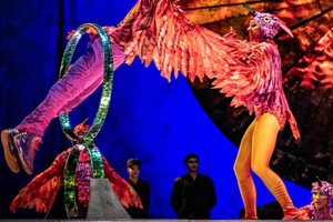 Miami: Cirque du Soleil LUZIA Ticket