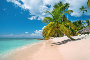 Miches: Buggy Tour with Beach Stop and Guide