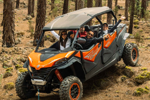 Puerto de la Cruz: Buggy Tour