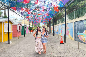 Puerto Plata: Waterfalls, Monkeys, and City Tour
