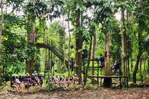 Porto Rico: avventura in zipline nella foresta pluviale di El Yunque