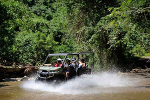 Puerto Vallarta: Explore the Rio Cuale on a Buggy Adventure