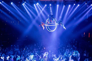 Punta Cana: Coco Bongo Nightclub VIP Entry & Transfers