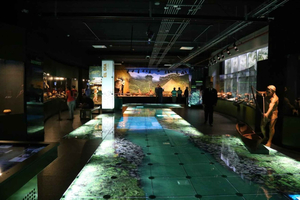 San José: biglietto d'ingresso per il Museo della giada e della cultura precolombiana