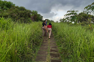 Ubud: Campuhan Ridge Walk, Tegallalang Rice Terrace & More