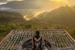 Ubud: privat omvisning med kaffe ved soloppgang, fossefall og risterrasse