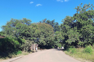 Victoria Falls: Walking Tour with Curio Market Visit