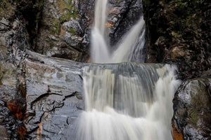 Visit the El Chupal Waterfalls: Colombian farm, pesca coffee, and exotic fruits.