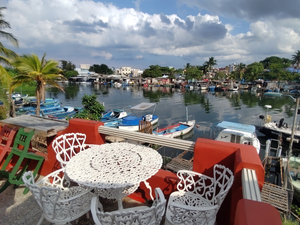 Amigos del Mar