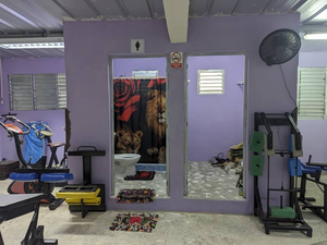 Asgard Gym