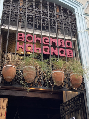 Bohemia Habana Bar Libreria
