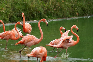 Caguanes National Park
