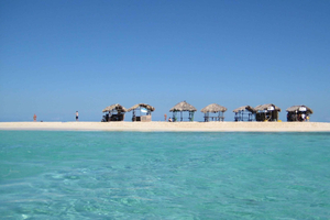 Cayo Arena: Excursión Isla Paraíso y Manglares