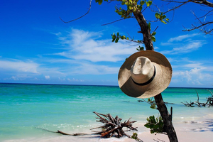Cayo Jutias