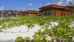 Cayo Levisa