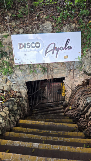 Disco Ayala