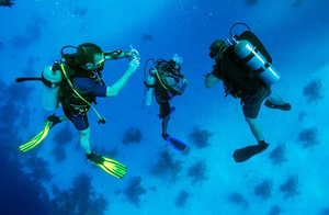 Diving in Cuba