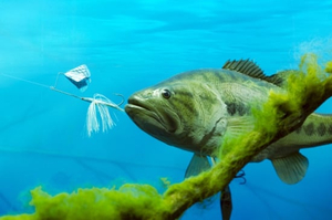 Fishing in Cuba