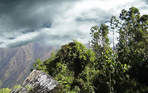 Great Sierra Maestra National Park