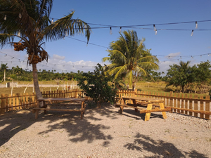 La Ceiba Restaurant