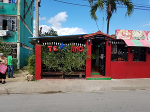 La palmita