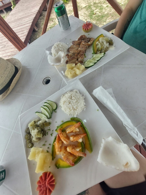 Las Palmitas