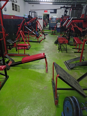 Natural Gym