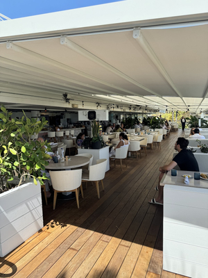 Ocean Social